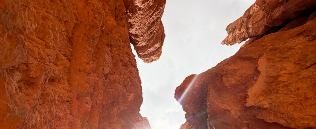 Zion National Park: The Ultimate 4-Day Guide (From Someone Who Actually Did It)